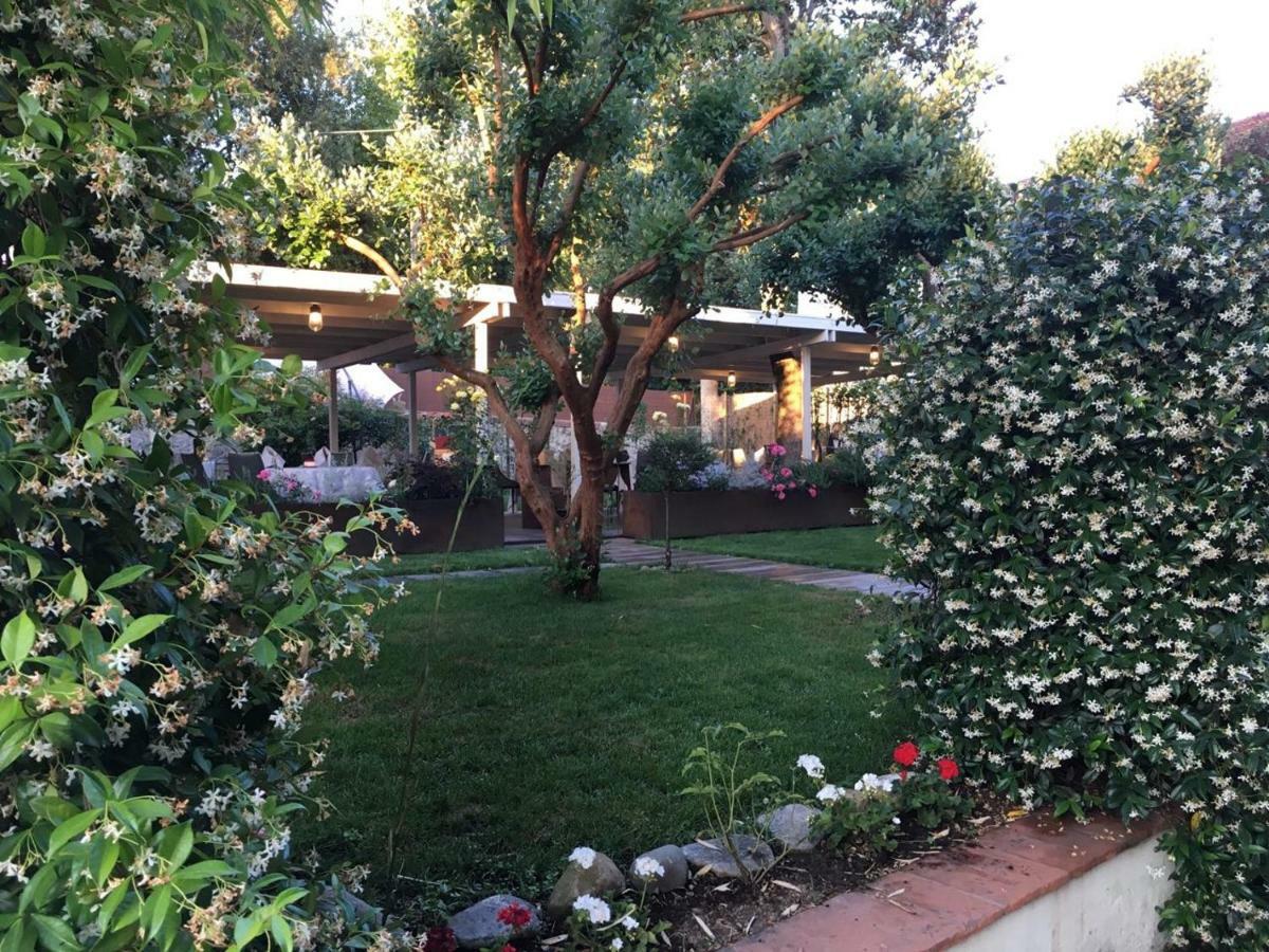Locanda Del Pesce Briaco, B&B Lucca Kültér fotó
