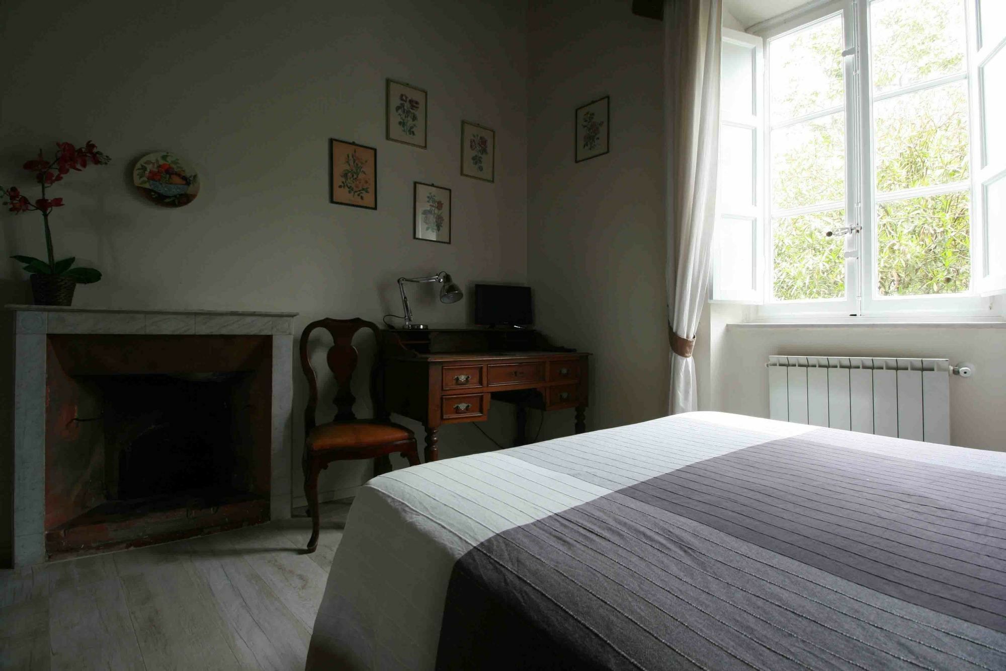 Locanda Del Pesce Briaco, B&B Lucca Kültér fotó